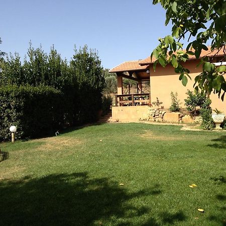 Agriturismo San Mauro 까팔비오 외부 사진