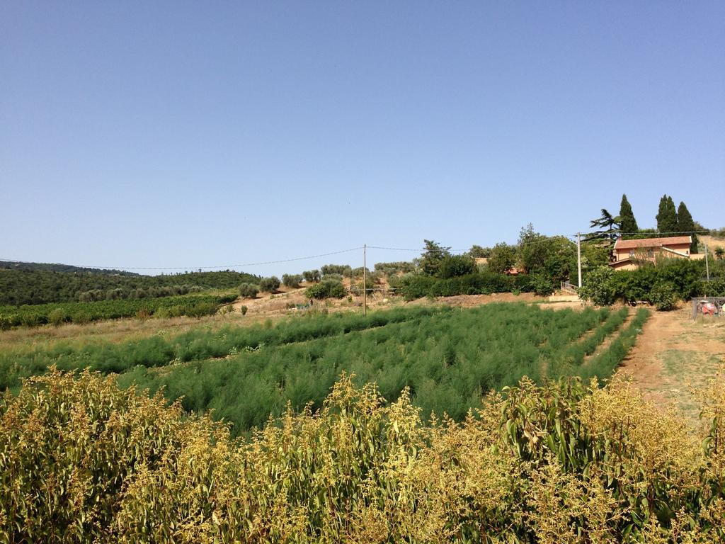 Agriturismo San Mauro 까팔비오 외부 사진