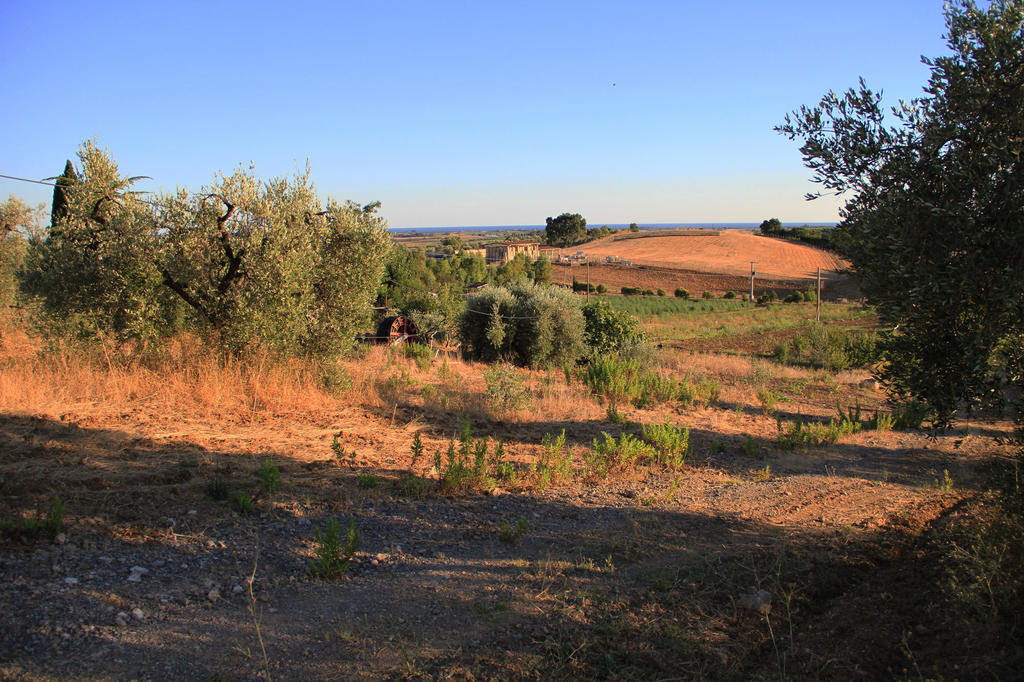 Agriturismo San Mauro 까팔비오 외부 사진